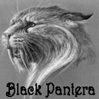 BlackPantera