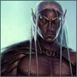 WARRIOR_OF_DV